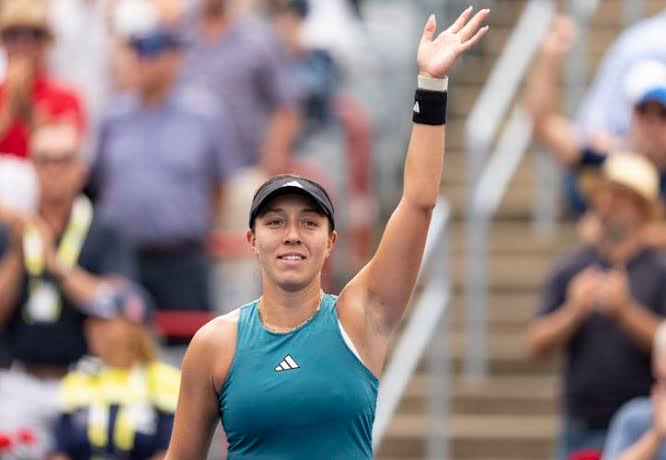 政策和法律 政策和法律